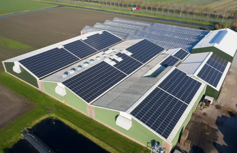 Magyarország nem követője, hanem éllovasa a globális zöld energetikai fordulatnak