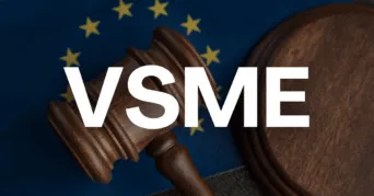 VSME: Útmutató a kisvállalkozások fenntarthatósági jelentéséhez