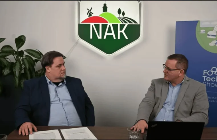 ISO szabványok és az SDG kapcsolata